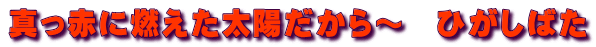 ^ԂɔRz`@Ђ΂